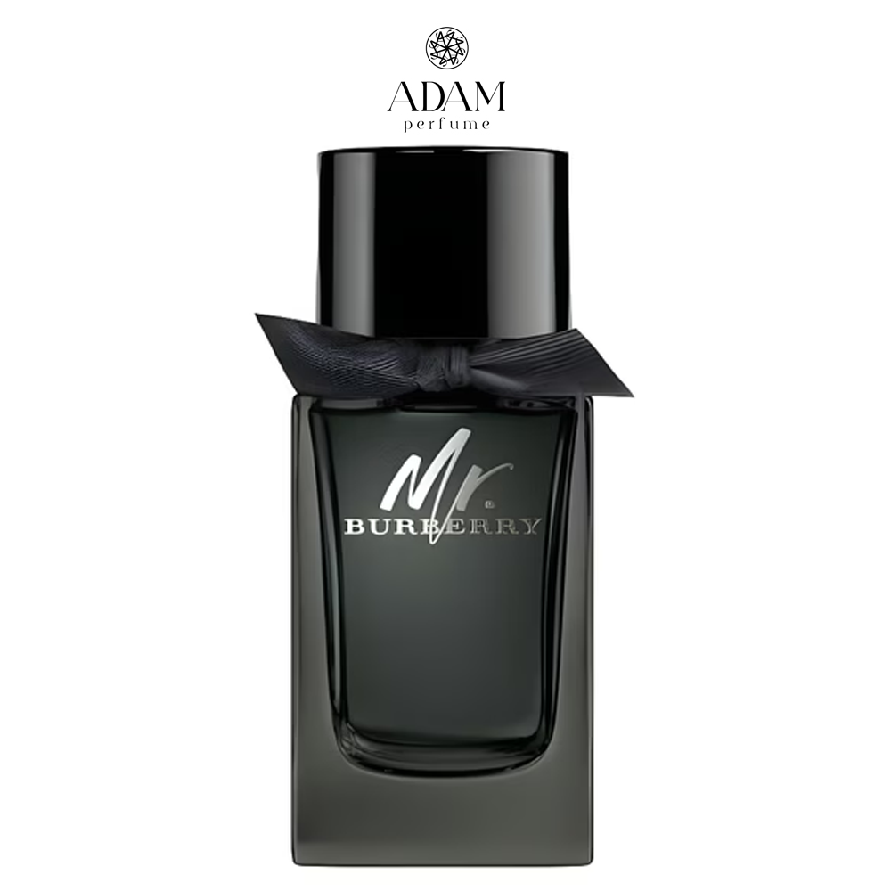 Mr. Burberry Eau de Perfume 100ml