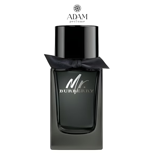 Mr. Burberry Eau de Perfume 100ml